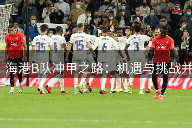 海港B队冲甲之路：机遇与挑战并存